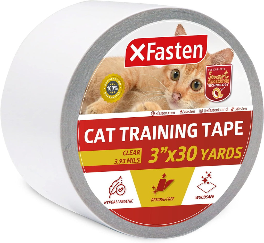 Scratch-Proof Your Life: Innovative Solutions for Everyday Dilemmas